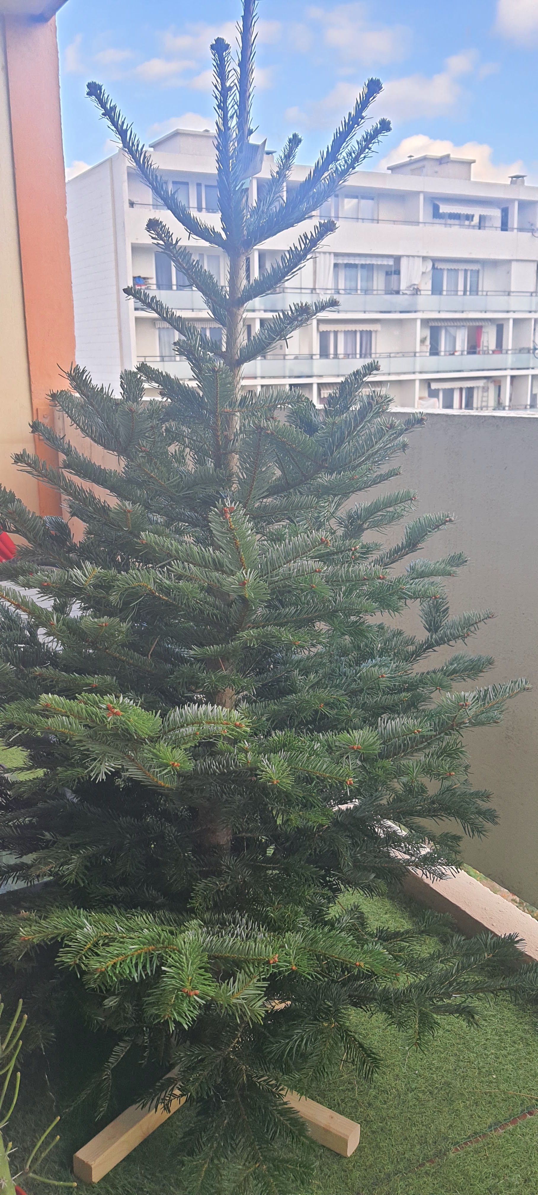 Photo n° 1 de l'avis de Elodie. fait le 29/12/2021 à 19:58