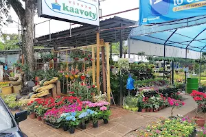 Vivero Kaavoty image