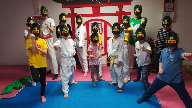 Rákosmenti Karate Sportegyesület