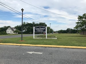 Little Flower Estates - photo 27