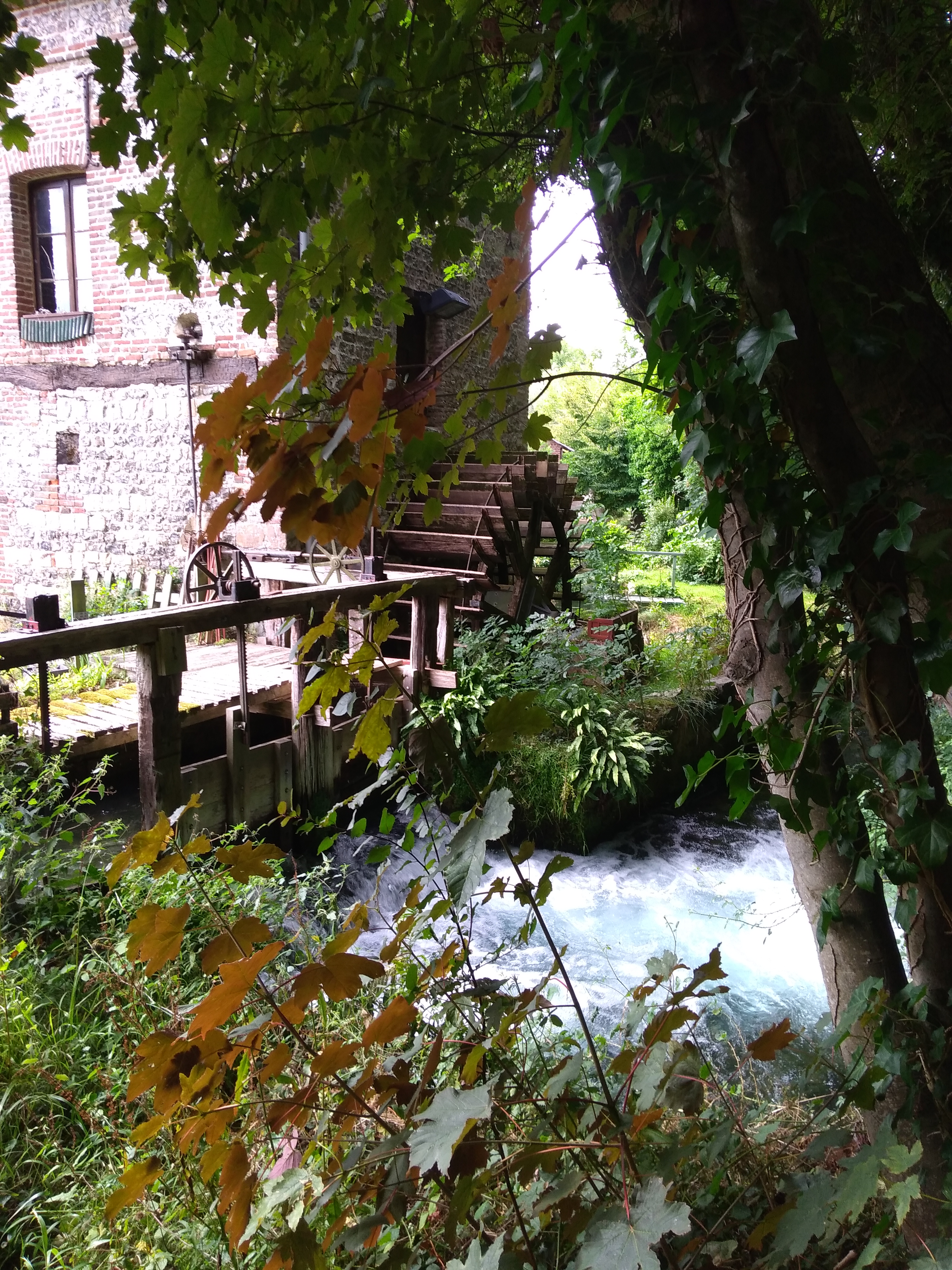 Photo n° 9 de l'avis de Yves.u fait le 15/08/2019 à 09:06