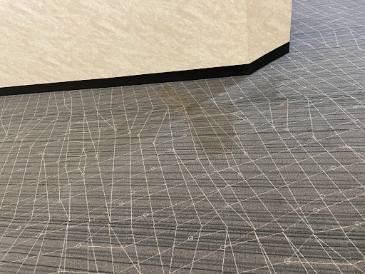 Refreshing Carpet Cleaning