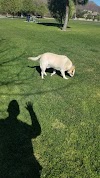 Sycamore Neighborhood Park