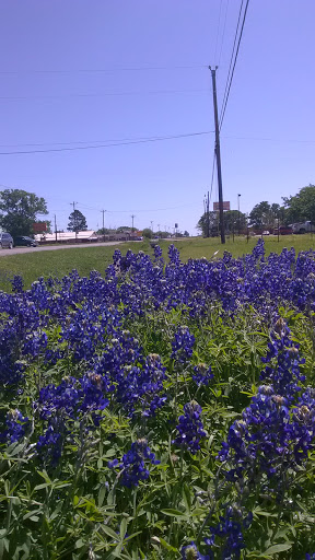 House By the Side of the Road
