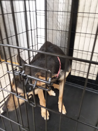 Pet Supply Store «PetSmart», reviews and photos, 5005 S 74th St, Greenfield, WI 53220, USA