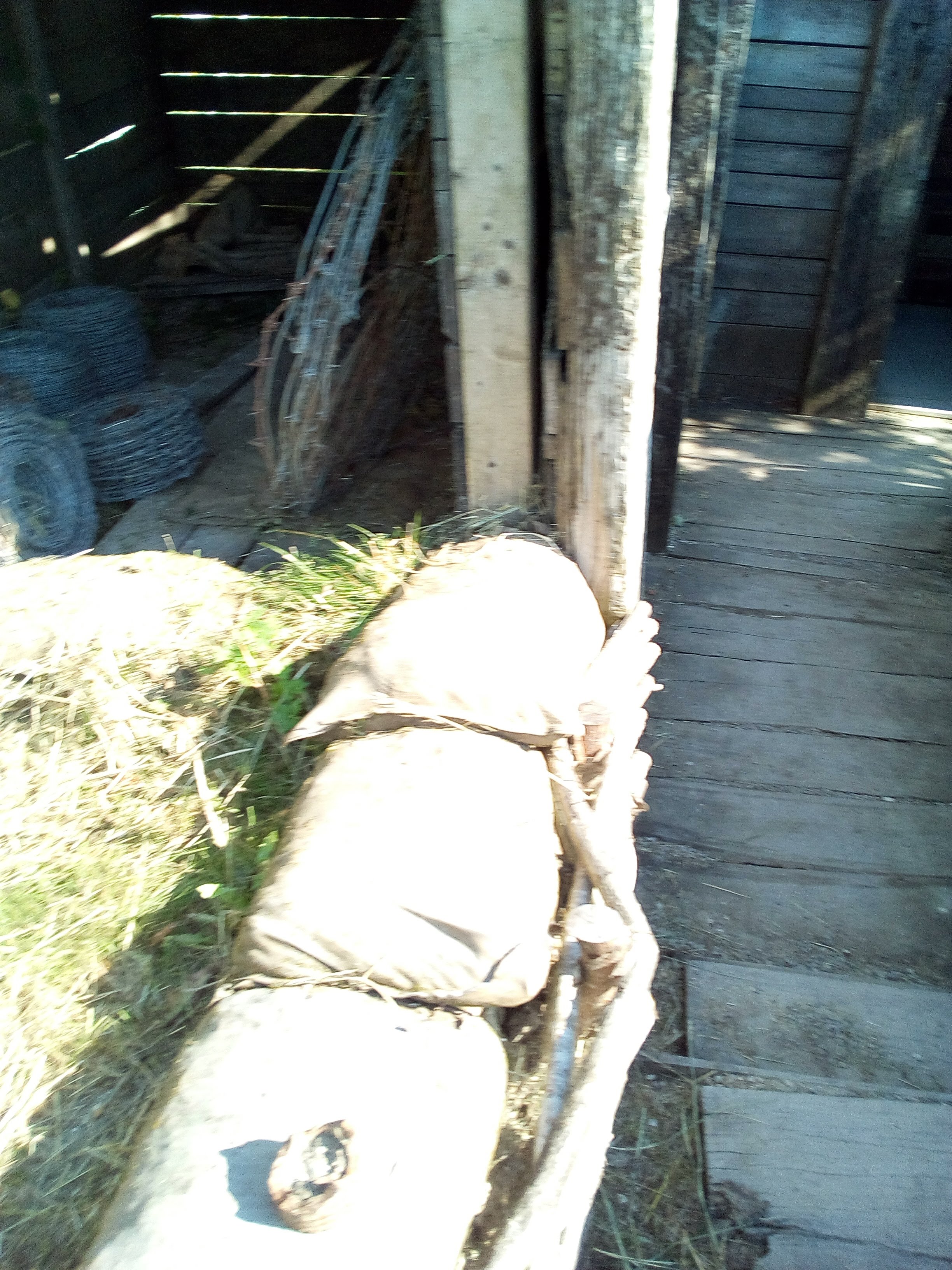 Photo n° 10 de l'avis de Jean.u fait le 04/07/2018 à 11:43