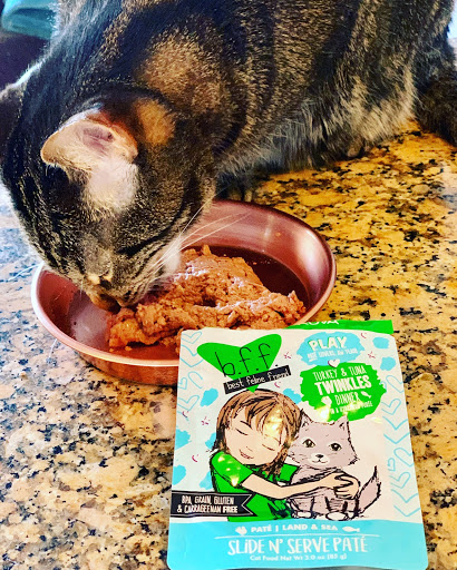 Pet Supply Store «Sprocket & Stone», reviews and photos, 1013 E 53rd St, Chicago, IL 60615, USA