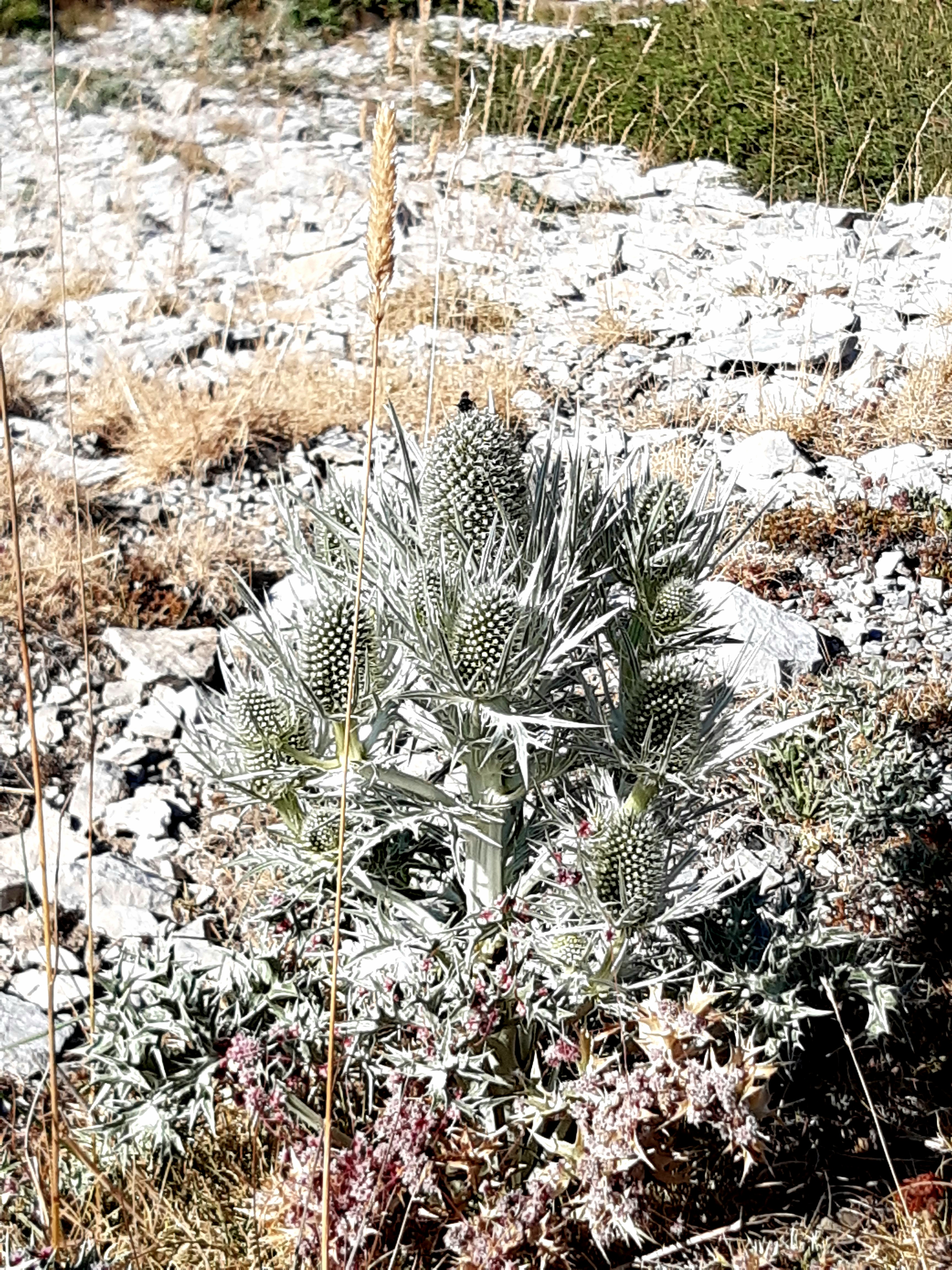 Photo n° 8 de l'avis de Laure.o fait le 14/08/2020 à 13:35