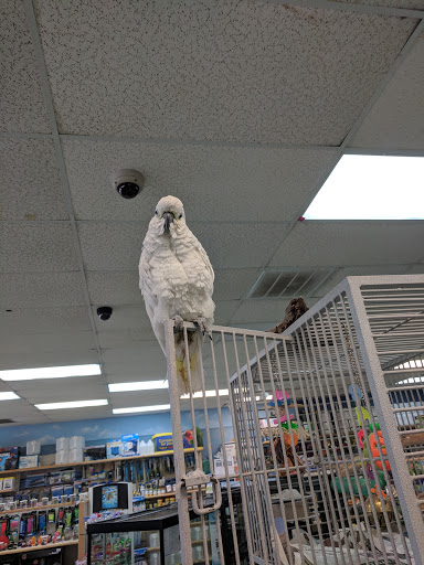 Pet Store «Wet Pets N Critters», reviews and photos, 103 TX-281 Loop, Longview, TX 75605, USA