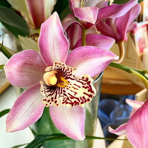 Florist «Crescent Floral & Gifts», reviews and photos, 2140 Wealthy St SE, Grand Rapids, MI 49506, USA