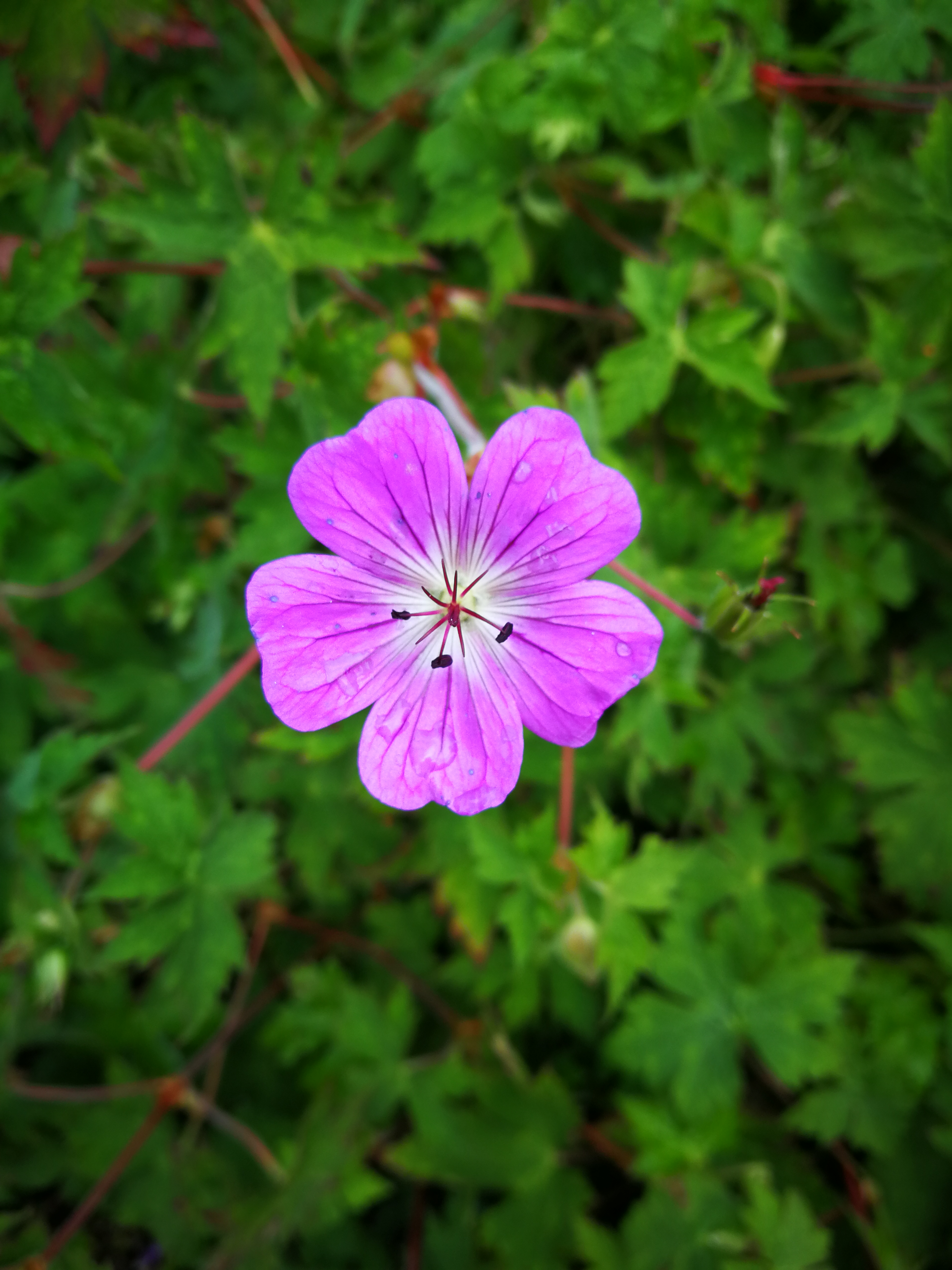 Photo n° 6 de l'avis de Matthieu.i fait le 28/08/2019 à 09:48