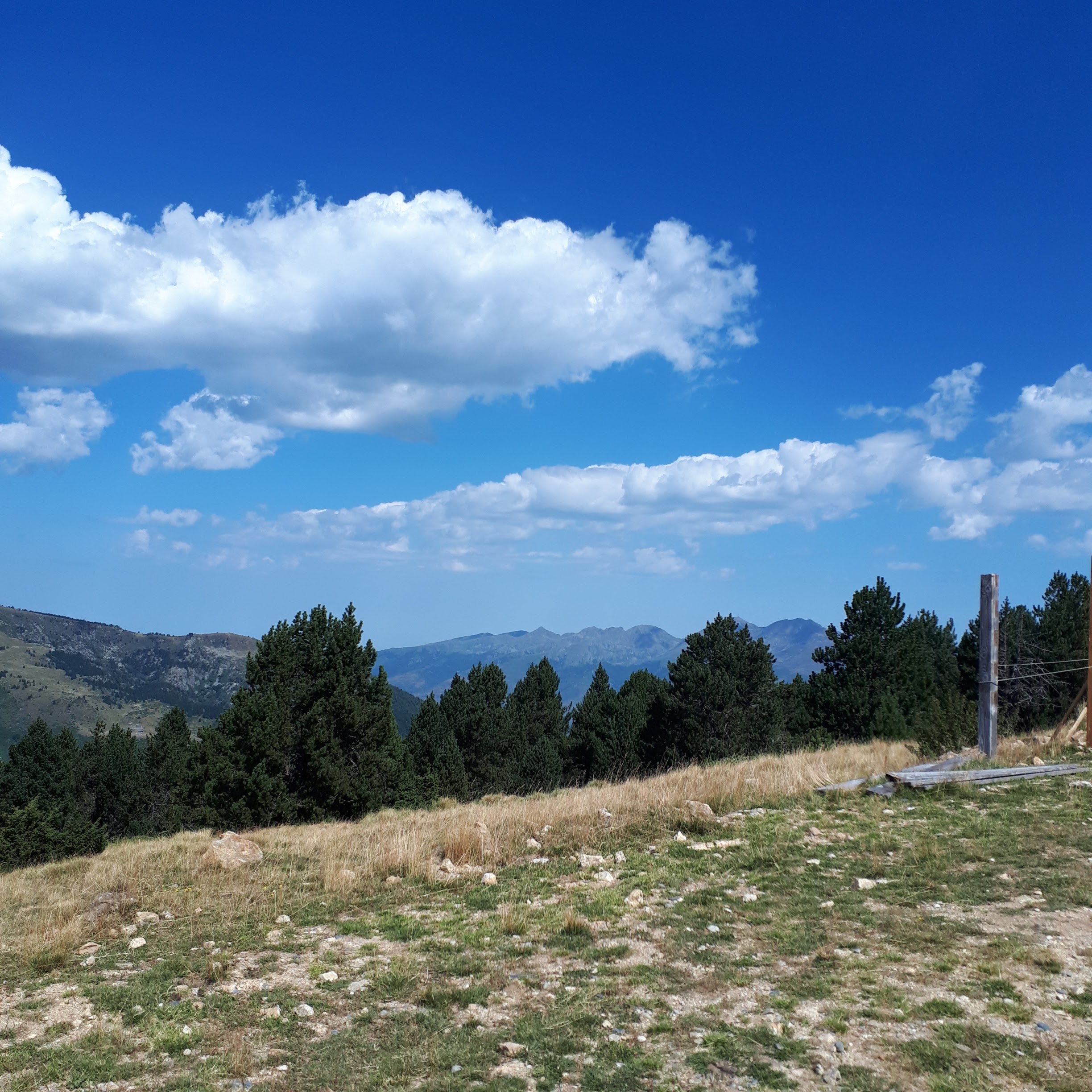 Photo n° 2 de l'avis de Christophe.e fait le 19/08/2020 à 17:16