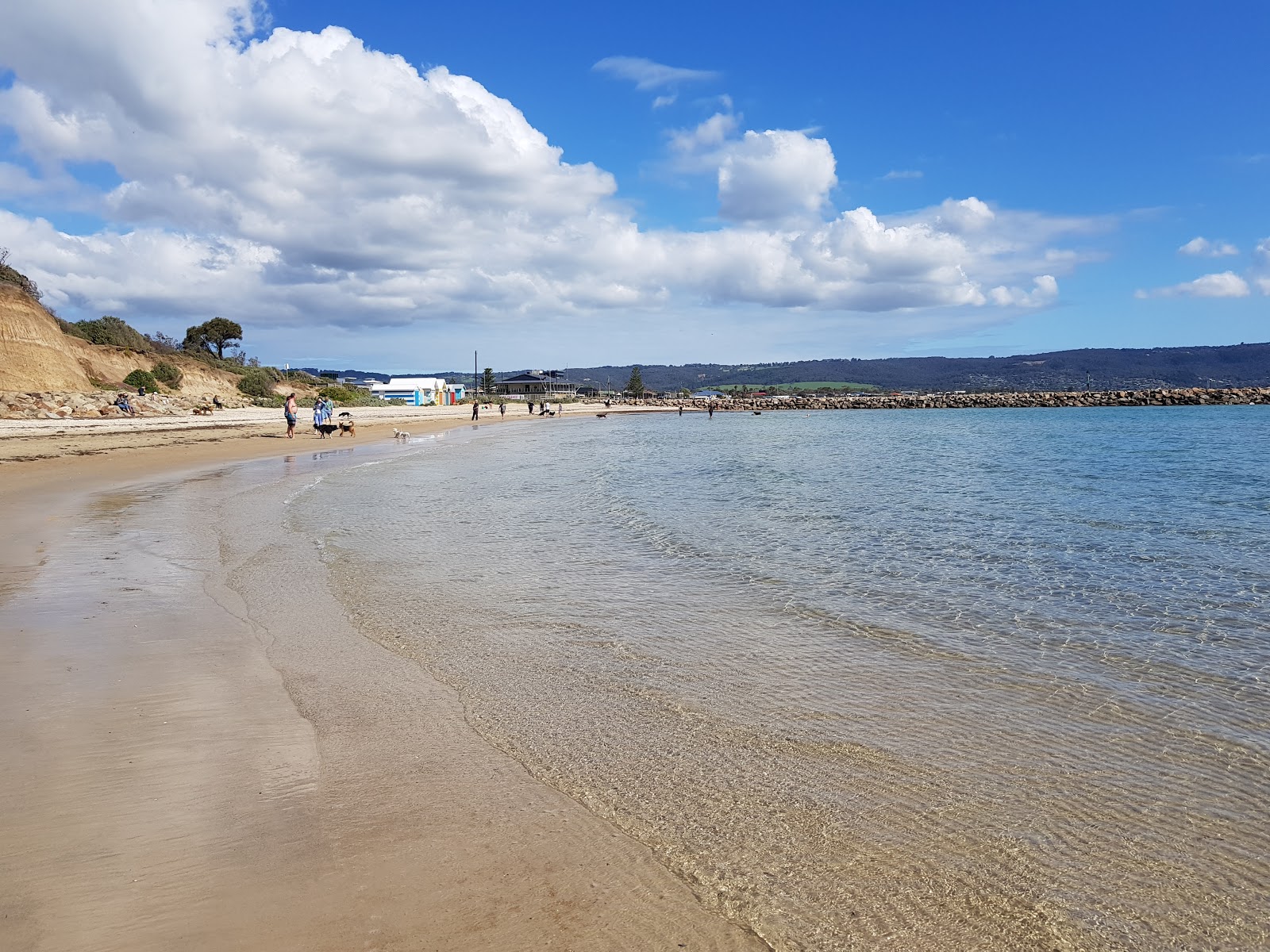Photo de Tassells Cove avec un niveau de propreté de très propre