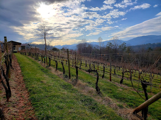 Winery «Noble Cider», reviews and photos, 356 New Leicester Hwy, Asheville, NC 28806, USA