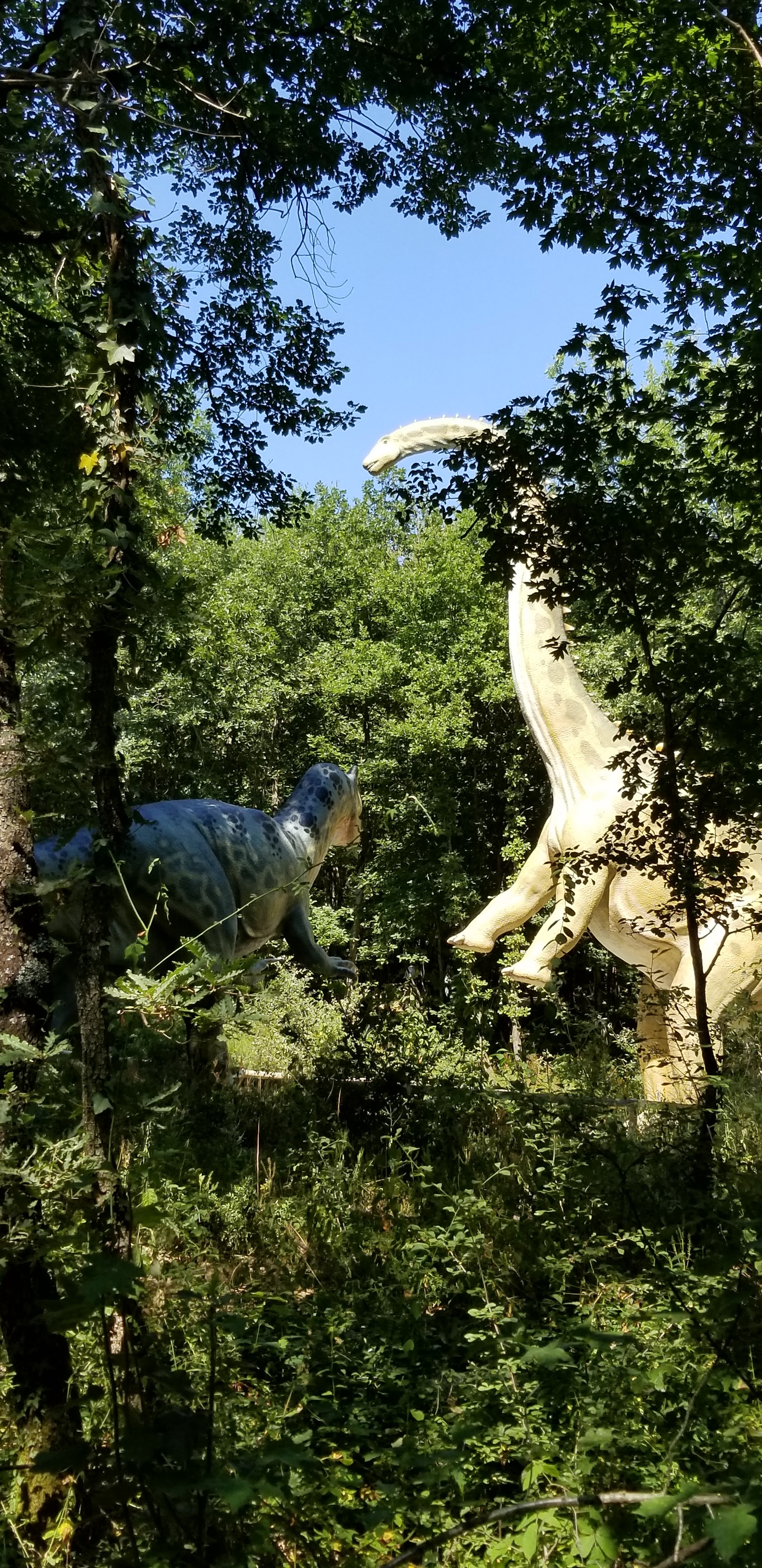 Photo n° 14 de l'avis de Laurent.u fait le 06/08/2018 à 17:07