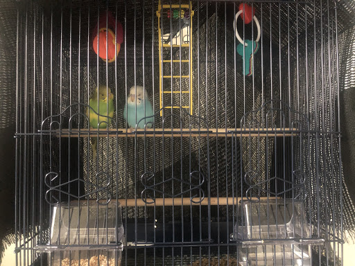 Pet Supply Store «Petco Animal Supplies», reviews and photos, 8700 Preston Rd #105, Plano, TX 75024, USA