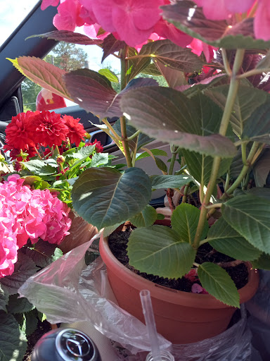 Produce Market «Country Store», reviews and photos, 490-498 S Main St, Jonesboro, GA 30236, USA