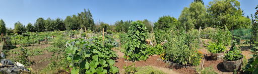 Park «A.M. Kennedy Park», reviews and photos, 10200 SW Kennedy St, Beaverton, OR 97005, USA