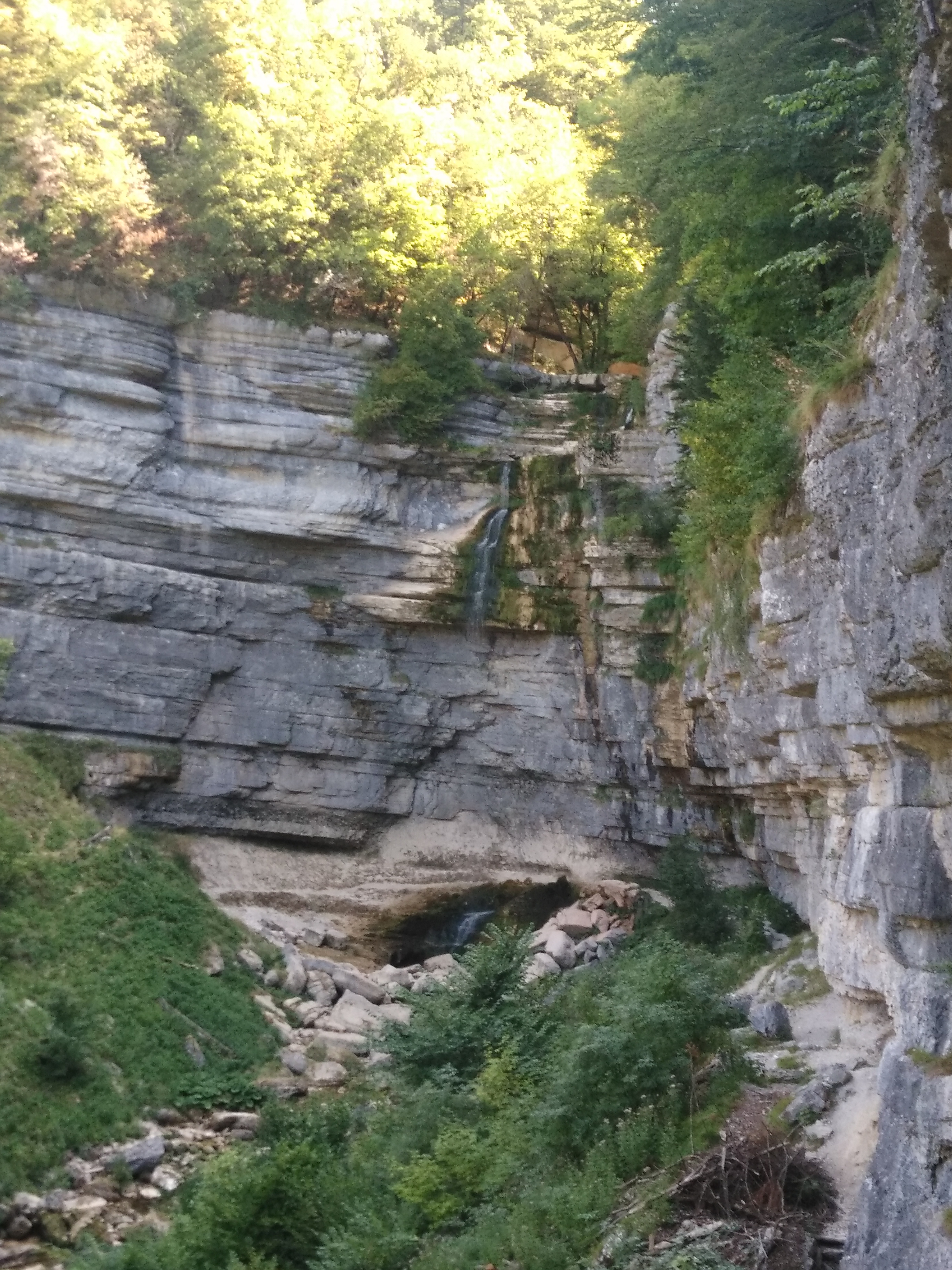 Photo n° 3 de l'avis de bonsaï.a fait le 31/07/2018 à 14:12