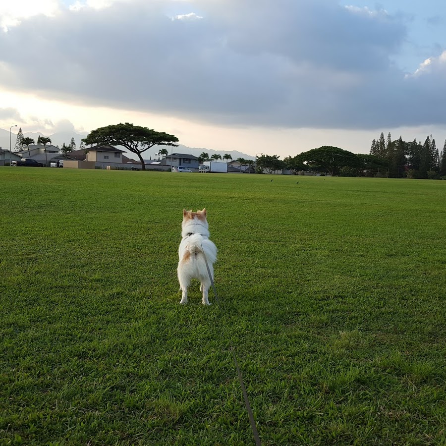 Michael S. Nakamura Neighborhood Park