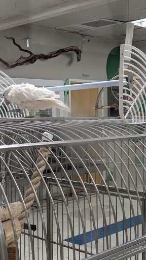 Bird Shop «Arizona Bird Store», reviews and photos, 565 S Dobson Rd, Mesa, AZ 85202, USA