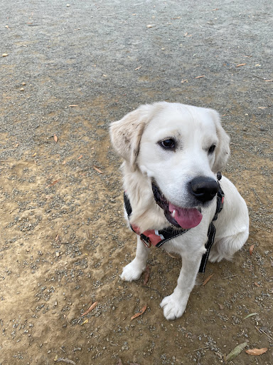 Park «Eugene Simpson Stadium Park», reviews and photos, 426 E Monroe Ave, Alexandria, VA 22301, USA