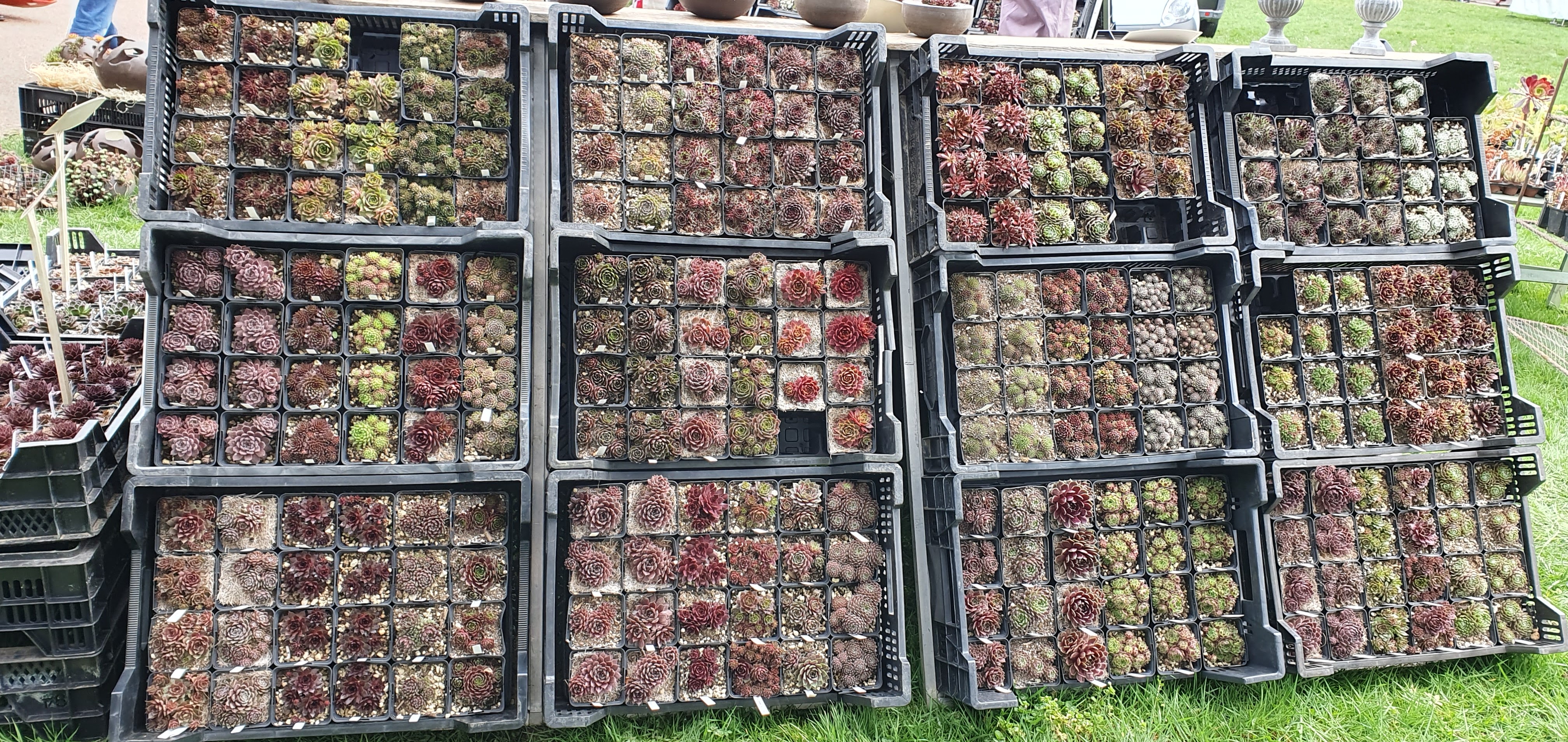 Photo n° 1 de l'avis de Christine.e fait le 01/04/2023 à 13:46