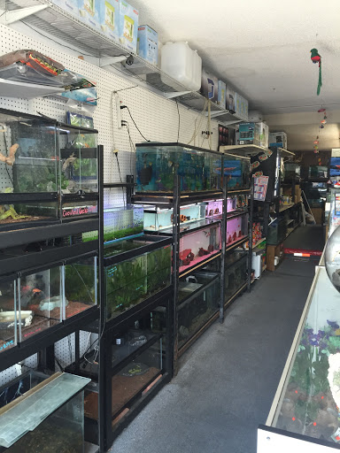 Pet Supply Store «Lotus Aquarium», reviews and photos, 14704 Hawthorne Blvd, Lawndale, CA 90260, USA