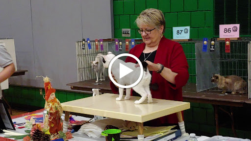 Community Center «Crystal Community Center», reviews and photos, 4800 Douglas Dr N, Minneapolis, MN 55429, USA