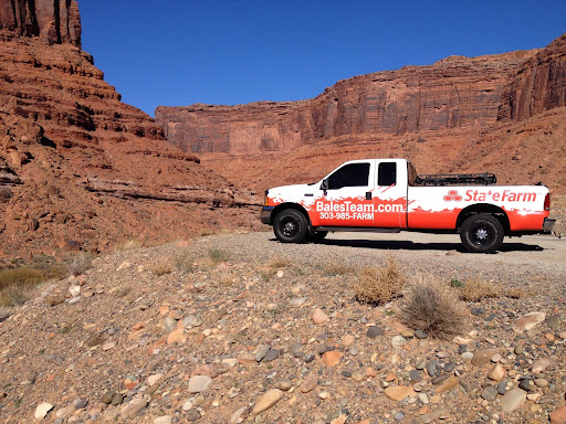 Auto Insurance Agency «State Farm: Randy Bales», reviews and photos