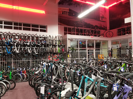 Bicycle Store «Bike Lane», reviews and photos, 17937 I-45, Shenandoah, TX 77385, USA