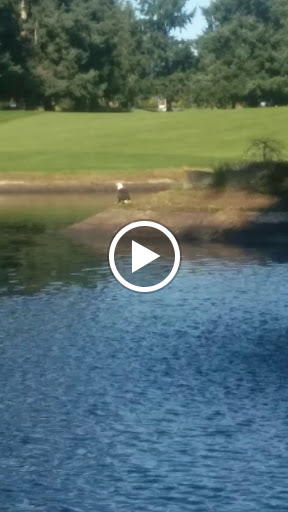 Golf Club «Fircrest Golf Club», reviews and photos, 1500 Regents Blvd, Fircrest, WA 98466, USA