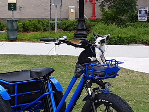 City Hall «City of Boynton Beach», reviews and photos