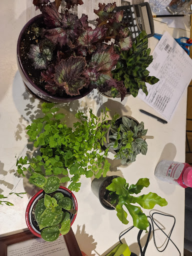 Garden Center «Victoria Gardens», reviews and photos, 1 Cottekill Rd, Rosendale, NY 12472, USA