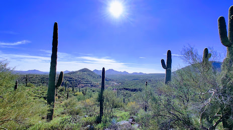 Cave Creek AZ Air Conditioning and Heating Service