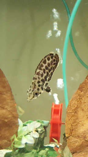 Pet Supply Store «PetSmart», reviews and photos, 745 W Huntington Dr, Monrovia, CA 91016, USA