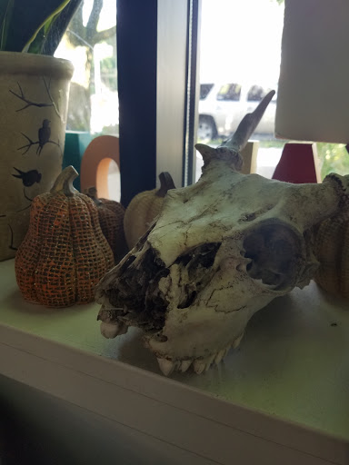 Tattoo Shop «Jackalope Tattoo», reviews and photos, 4549 Bloomington Ave, Minneapolis, MN 55407, USA