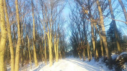 Hiking Area «Den Rock Park», reviews and photos, Stirling St, Andover, MA 01810, USA