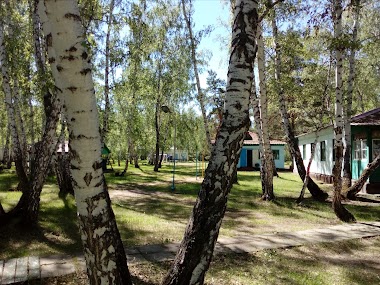 Dinamovets