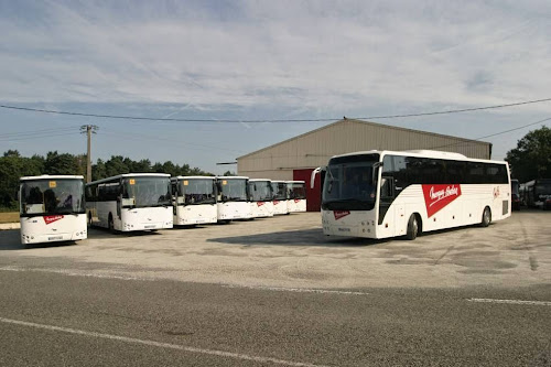 Agence de visites touristiques en bus Autocars Menguy Burban Ploeren