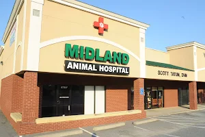 Midland Animal Hospital image