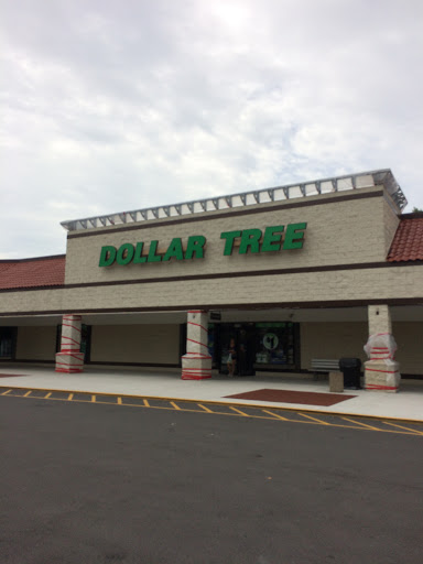 Dollar Store «Dollar Tree», reviews and photos, 1952 State Rd 44, New Smyrna Beach, FL 32168, USA