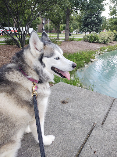 Park «Wahby Park», reviews and photos, 24800 Jefferson Ave, St Clair Shores, MI 48080, USA