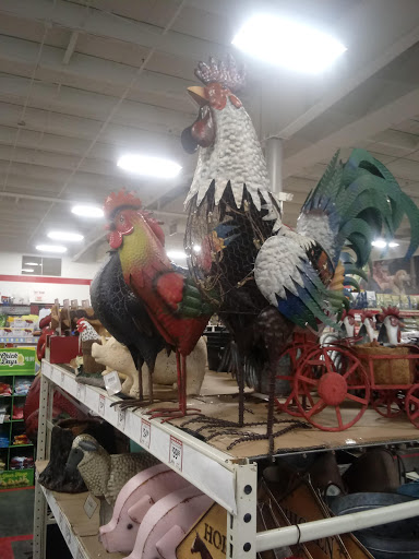 Home Improvement Store «Tractor Supply Co.», reviews and photos, 513 Nolan Dr, Smyrna, TN 37167, USA