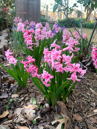 Cemetery «Oakland Cemetery», reviews and photos, 248 Oakland Ave SE, Atlanta, GA 30312, USA