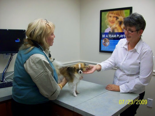 VCA Allen Park Animal Hospital