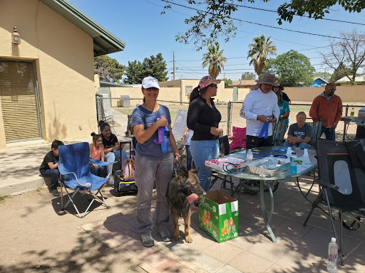 Cat trainer El Paso