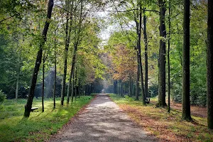 Schwarzenbergpark image