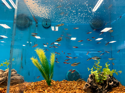 Pet Supply Store «Petco Animal Supplies», reviews and photos, 390 Universal Dr N, North Haven, CT 06473, USA