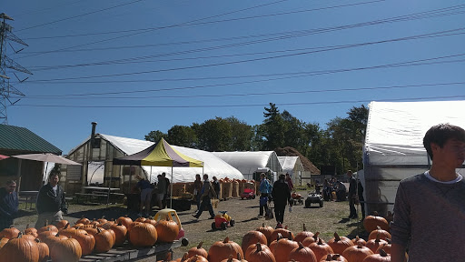 Farm «Fairmount Fruit Farm», reviews and photos, 887 Lincoln Street, Franklin, MA 02038, USA